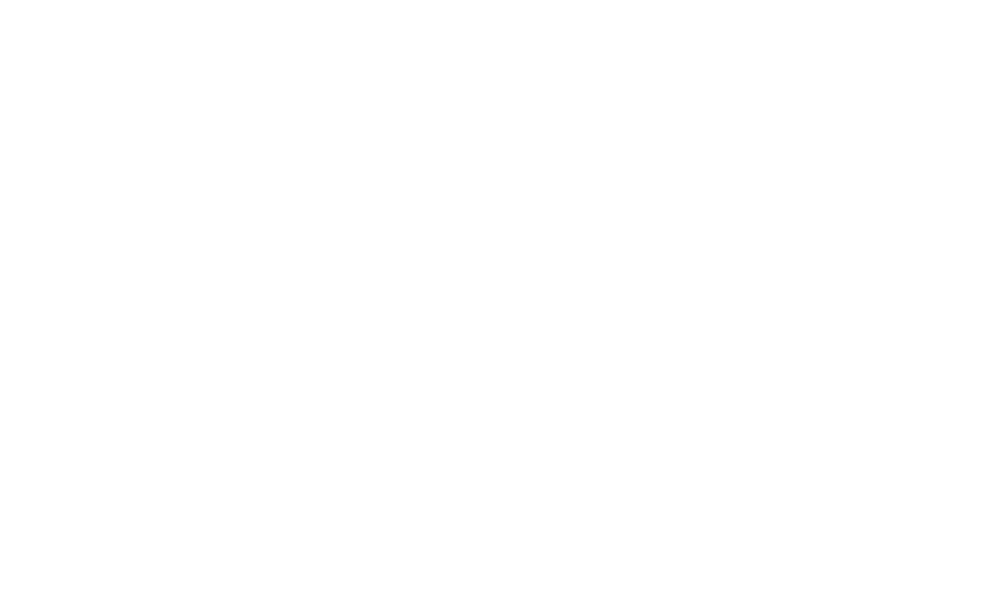 Qbic